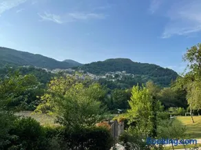 Il paradiso delle beccacce - Image 2