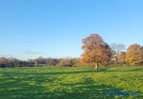 Fir Tree Farm by Wigwam Holidays - Image 4