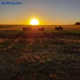 Mygunyah Farmstay - Image 2