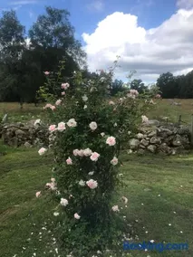 Brogård - gårdlejlighed - Image 2