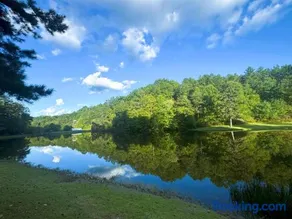 Mallard Cove - lakeside - Image 1
