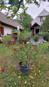 Naplopó-lak - Image 4