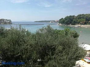 Pende - Image 1