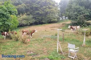 Gîte à la ferme du Lomont - Image 3