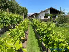 Apartment Am Weinberg - Image 2