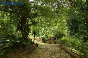 Hilray Eco Villa - Image 3