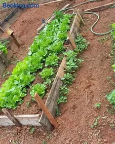Pousada Recanto das Hortênsias - Image 4