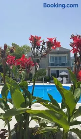 Gyra Villas - Seaview Villa Fivos with private pool - Image 4