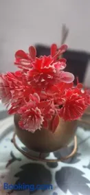 Flat - Image 3