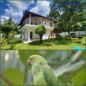 Parrot Paradise Negombo - Image 1