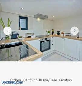 Bay Tree - Image 2