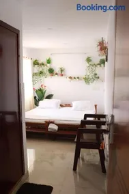 Turtle Island Ayurveda Backwater Stay - Image 2