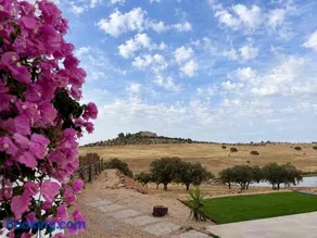 Sabor a Paz - Alentejo Haven - Image 5