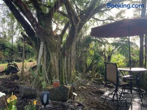 Majestic Banya tree cabin - Image 2
