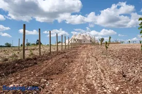 Agriturismo TENUTA MAGALEPPO di Basile Miriana - Image 4