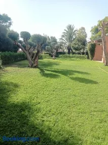 palmeraie village 2 - Image 4