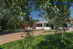 Borghetto Tio Pepe - Image 4