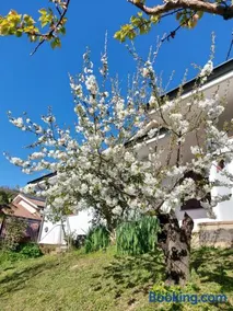Villa Teodolinda - Image 1