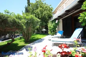 Aurelia - Image 2