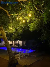 Vila albino - Image 5