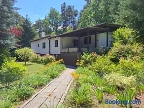 Cozy Cottage in Nature - Image 1