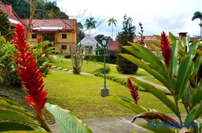 Hotel Girassol - Image 2