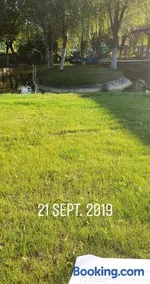 Pensiunea Turistica VALEA MIERII - Image 2