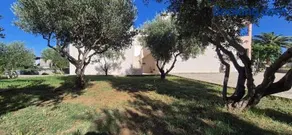Apartman Petar - Image 3