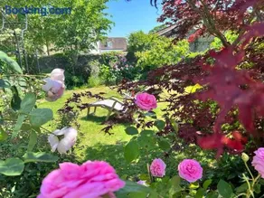 Romantic Little House near Bath - Image 4