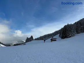 2-bed appt 20 mins from Morzine Portes du Soleil French Alps - Image 1