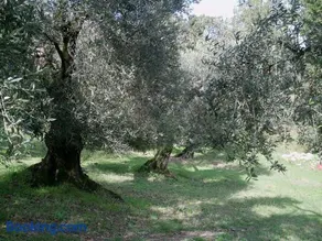 B&B Da Mariella - Image 4