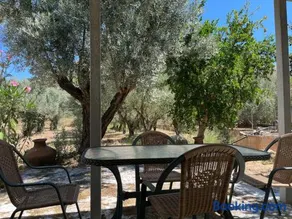 Olives house Chios island - Image 4