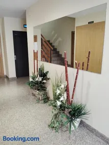 Apartamento ROMA - Image 3