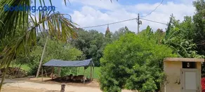 Baba Homestay - Image 5