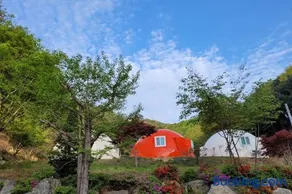 Wonju Forest Dome - Image 4