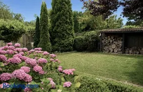 Holiday villa walking distance to North sea beach - Image 3