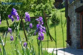 Il Paradiso monolocale Cottage - Image 4
