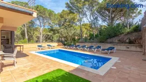 VISTA ALEGRE - Image 3