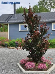 Kleines Haus am Fjord - Image 4