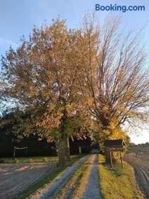 Agroturystyka Pod Świerkami - Image 2