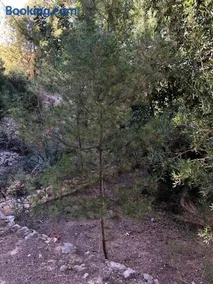 Casa con piscina - Image 2