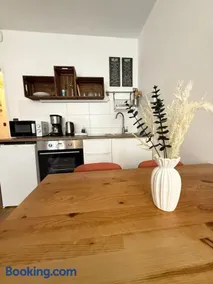 Georges - 1 Bedroom - Old Lyon - Image 3