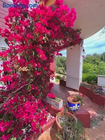 Apartamentos Famara - Image 5