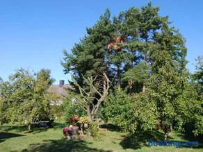 Ferienhaus mit Garten am Bodstedter Bodden - Image 4