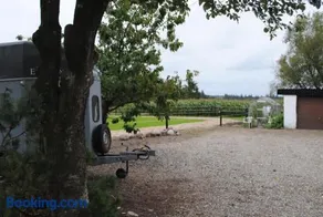 Idyllic Countryside Farm with Horseback Riding - Image 5