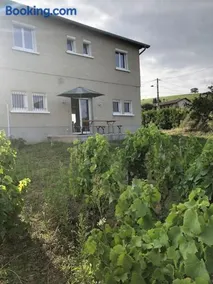 Petit Gîte de Javernières Rez de jardin - Image 2