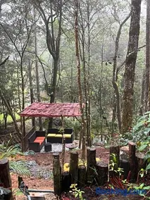 La Casa del rio - Image 2