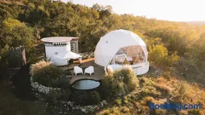 The Disco Domes - Image 2