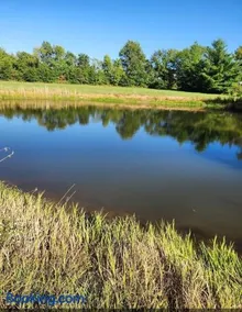 Great location at Mark Twain Lake - Image 2