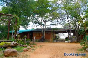 The Ibis - Wilpattu - Image 1